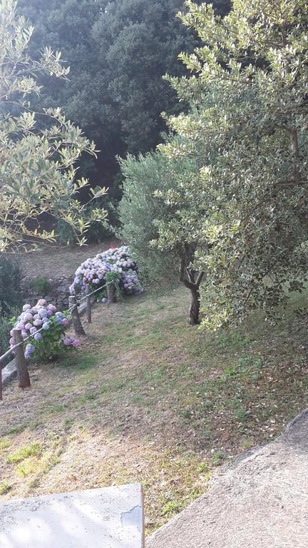 Arvasia Vernazza Ngoại thất bức ảnh